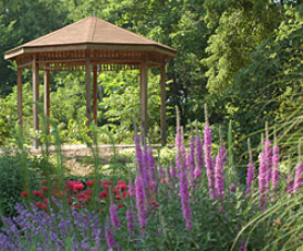 Master Gardener Plant Sale